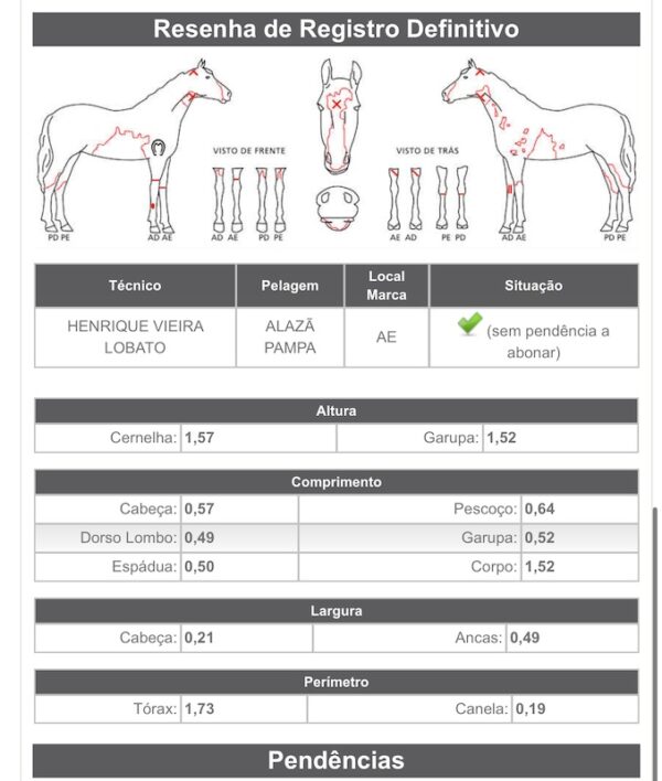 Diro da Calciolândia - Image 6